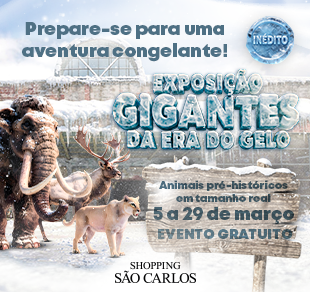Shopping_ERA DO GELO março2026_310X292_lateral direita 