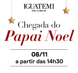 Shopping_CHEGADA PAPAI NOEL_310X292_lateral 2