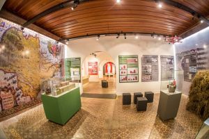 Museu de São Carlos tem nova exposição