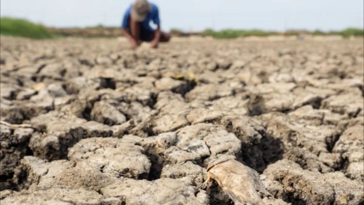Chance de El Niño muito forte a partir de setembro sobe para 97%, diz agência dos EUA