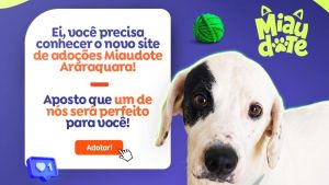 Prefeitura de Araraquara lança primeiro site de adoção de pets da cidade