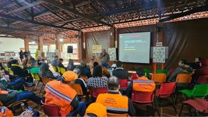 Defesa Civil de Ibaté participa de capacitação sobre manejo e preservação de abelhas