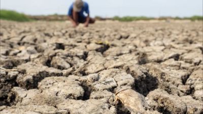 Guerra e El Niño levam economistas a projetar inflação de alimentos a 7%