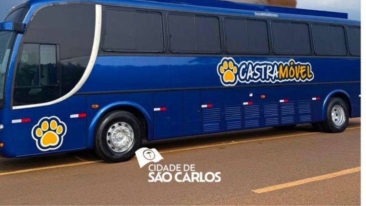 Prefeitura realiza 1º mutirão de castração de 2026