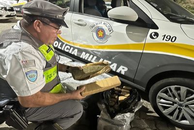 Homem é preso com 268 kg de maconha escondidos em caminhão-baú