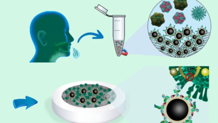 USP de São Carlos: Biossensor para diagnóstico da COVID-19: uma tecnologia sustentável para democratizar diagnósticos moleculares no mundo