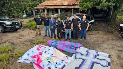 Polícia Civil e MP cumprem 20 mandados em operação contra crimes ambientais no interior de SP