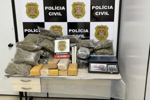 Polícia Civil apreende 26 kg de maconha e skunk escondidos em carga de ureia em Cajuru