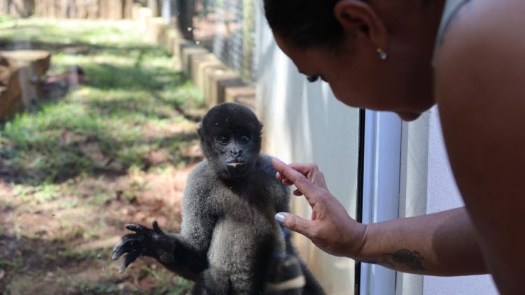 Parque Ecológico prepara programação de férias