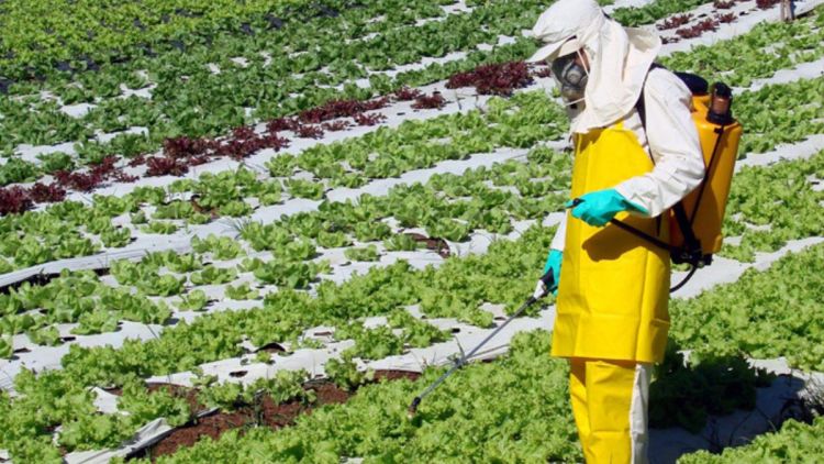 Projeto de desenvolvimento de sensores portáteis de agrotóxicos ganha financiamento em chamada conjunta USP-CNPEM