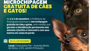 Prefeitura de Araraquara promove semana de microchipagem gratuita de cães e gatos