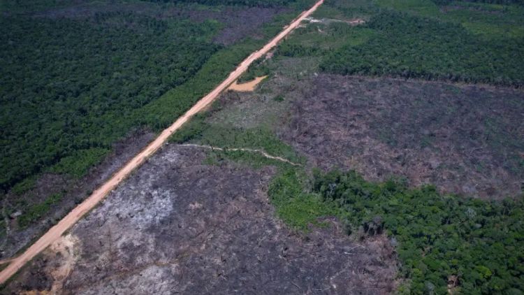 Desmatamento na Amazônia cai 36,87% no último ano