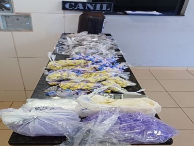 Equipe Canil da GM encontra drogas no Planalto Verde