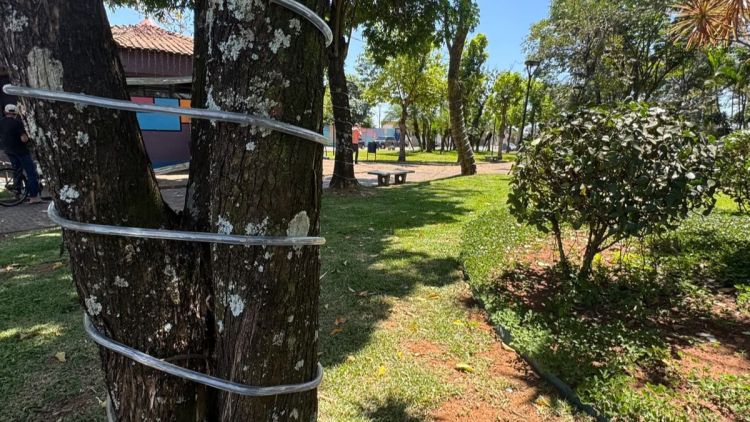 Prefeitura inicia preparativos para o Encantos de Natal 2026 em Ibaté