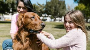 Prevenção em Medicina Veterinária: Saúde Animal e Seus Impactos Positivos