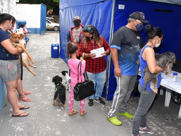 Prefeitura encerra primeiro trimestre de 2023 com 1092 castrações de cães e gatos