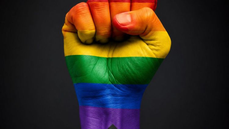 Conselho altera data de celebração do Dia do Orgulho LGBTQIAPN+ em São Carlos