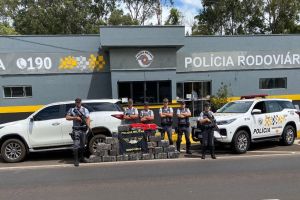 TOR apreende mais de meia tonelada de maconha