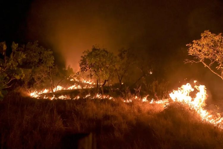 Seca faz incêndios em florestas maduras crescer 152% na Amazônia