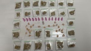 Ação da Guarda Municipal interrompe possível ponto de tráfico e apreende drogas