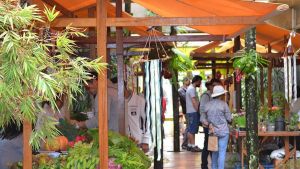 Sesc São Carlos promove feira com produtos orgânicos, agroecológicos e sustentáveis