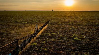 Seguro rural: novas regras ampliam cobertura e proteção ao produtor