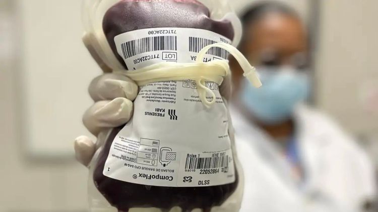 Lei cria Junho Vermelho para incentivar doação de sangue