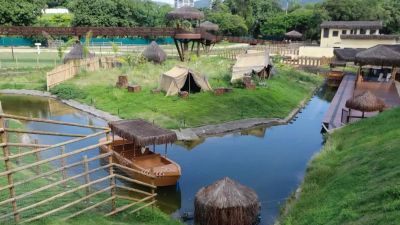 Galinhas d'angola do Bioparque no Rio morreram de gripe aviária