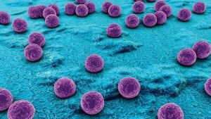 USP São Carlos e Texas A&M University desenvolvem método para prever evolução da resistência bacteriana a antibióticos