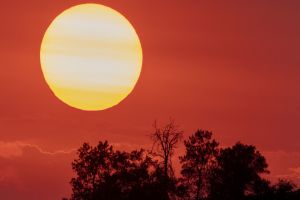 2024 começa com recorde: Janeiro é o 8º mês mais quente da história