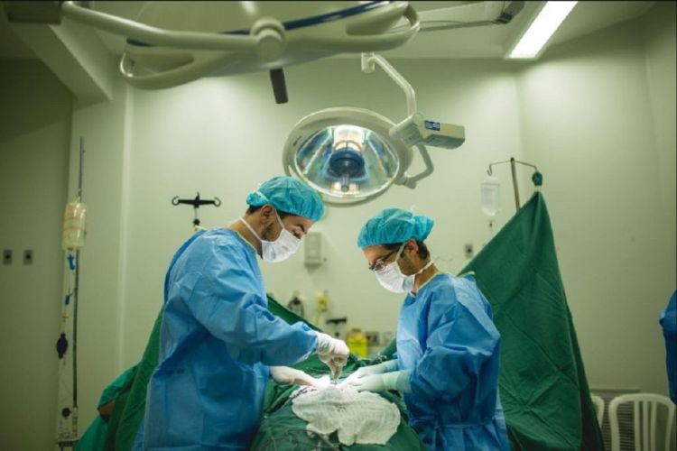 Tabela SUS Paulista: hospitais registram aumento de 18% nas cirurgias de alta complexidade