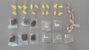 Guarda Municipal encontra entorpecentes escondidos em veículo após denúncia no Jardim Cruzado