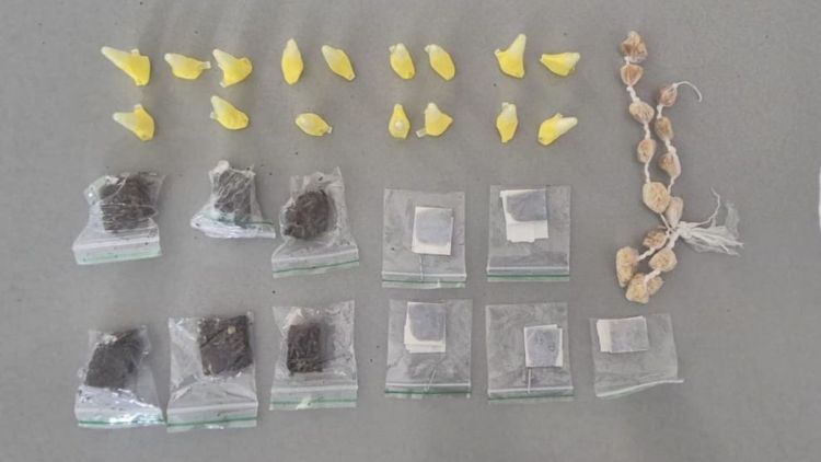 Guarda Municipal encontra entorpecentes escondidos em veículo após denúncia no Jardim Cruzado