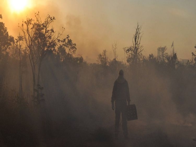 Desmatamento no cerrado cresceu 20% em 2022, aponta Ipam