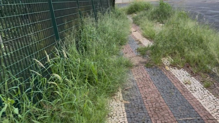 Jùlio Cesar solicita ações de limpeza e revitalização no entorno do Parque do Bicão