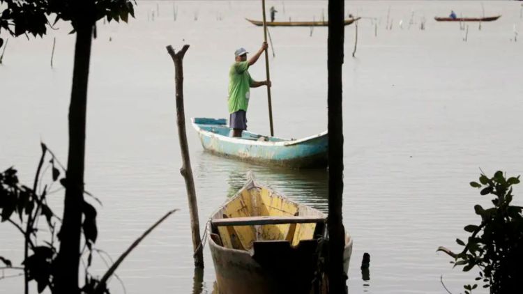 Conferências estaduais de aquicultura e pesca serão em junho e jullho