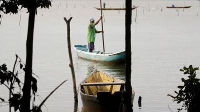 Conferências estaduais de aquicultura e pesca serão em junho e jullho