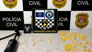 Polícia Civil apreende mais de 300 porções de drogas escondidas em bomba de ar em São Carlos