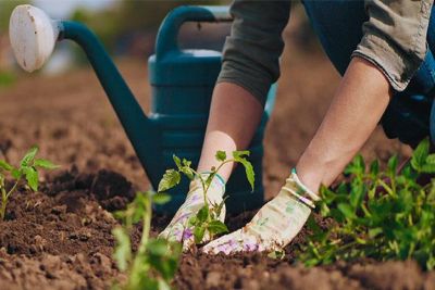 Inscrições para curso de jardinagem e eletricista abrem na segunda-feira