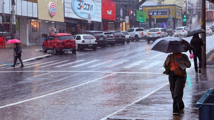 El Niño: previsão de mais chuva e calor pode favorecer a proliferação do aedes aegypti