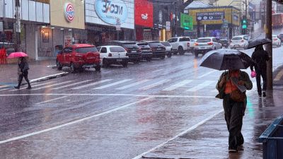 El Niño: previsão de mais chuva e calor pode favorecer a proliferação do aedes aegypti