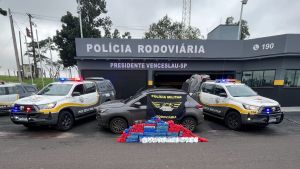 Polícia Rodoviária apreende 270 kg de drogas no interior de SP