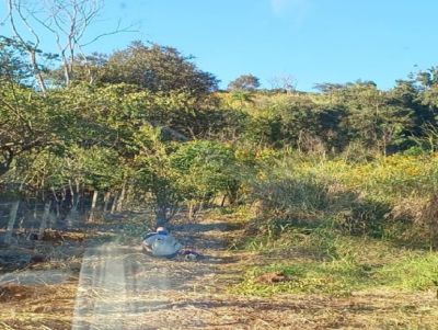 SAMU socorre trabalhador que se feriu com roçadeira