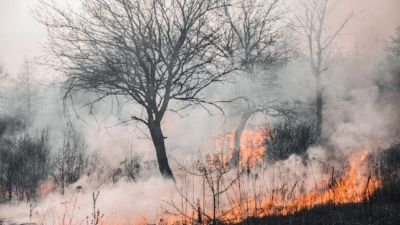 Defesa Civil alerta para risco elevado de queimadas