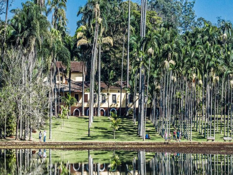 Após casos de febre maculosa em Campinas, Feena suspende visitação no Jardim das Palmeiras