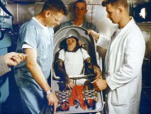O macaco Ham foi o primeiro grande símio a viajar para o espaço, em missão da NASA de 1961 © Vitor Paiva
