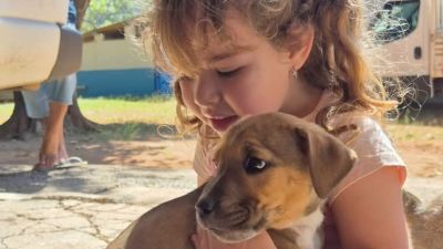 Feira de adoção garante novos lares para 19 animais em São Carlos