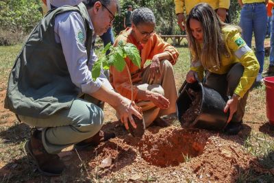 Governo quer evitar licença ambiental de longo prazo no Cerrado