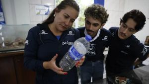 Mais de 93% dos peixes vendidos no litoral do Paraná têm microplástico