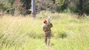 Corpo de Bombeiros e Prefeitura de Araraquara iniciam queima prescrita no Parque Pinheirinho nesta segunda (3)